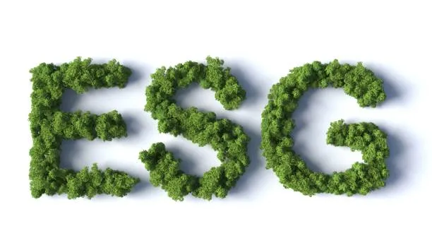 Businesses must evaluate their environmental, social, and governance (ESG) impact to drive sustainable growth.