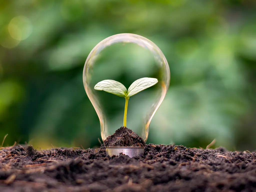 Trading Hub shares their ESG journey and lessons learned in an inspiring Q&A with Elaine Thomas.