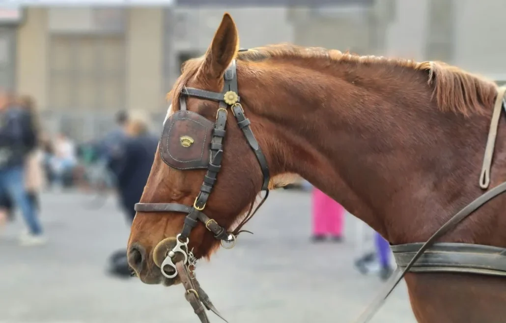 Employees may neglect perspectives beyond their own company or industry.