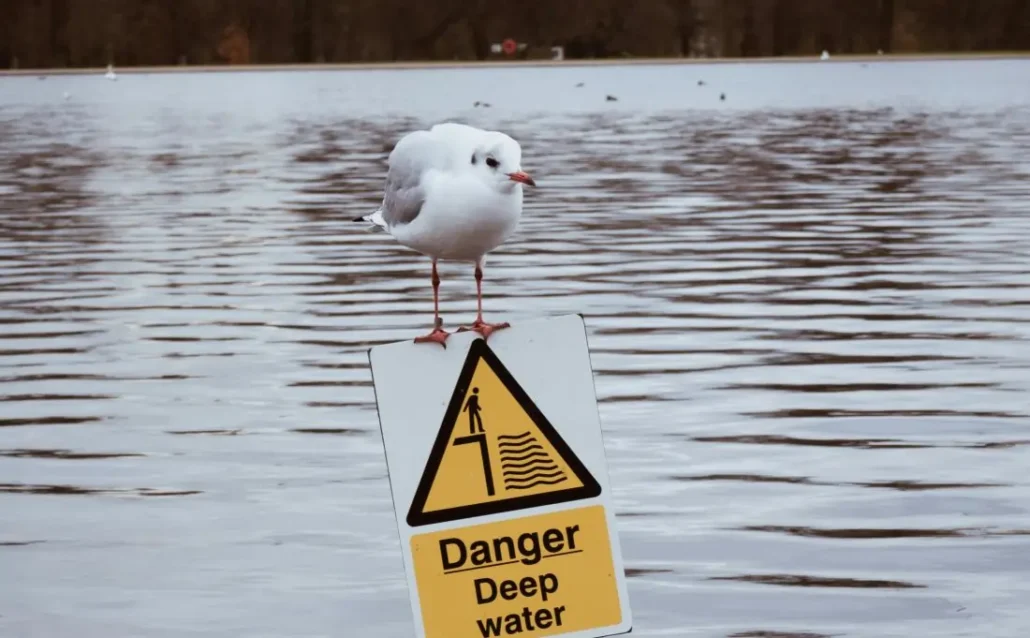 Climate risk rising: insurance costs soon unaffordable, warns Allianz board