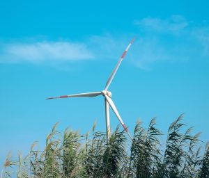 Same Framework, Different Weighting: Why 120 Metrics Mean Different Things Across Sectors